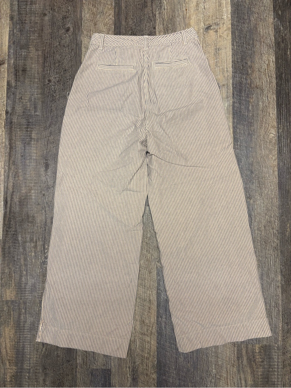 Free People Blue Striped Cotton Wide Leg Pants Button Fly Size 4 - Picture 3 of 7